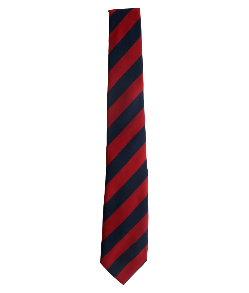 Red and Navy Bold Stripe Tie