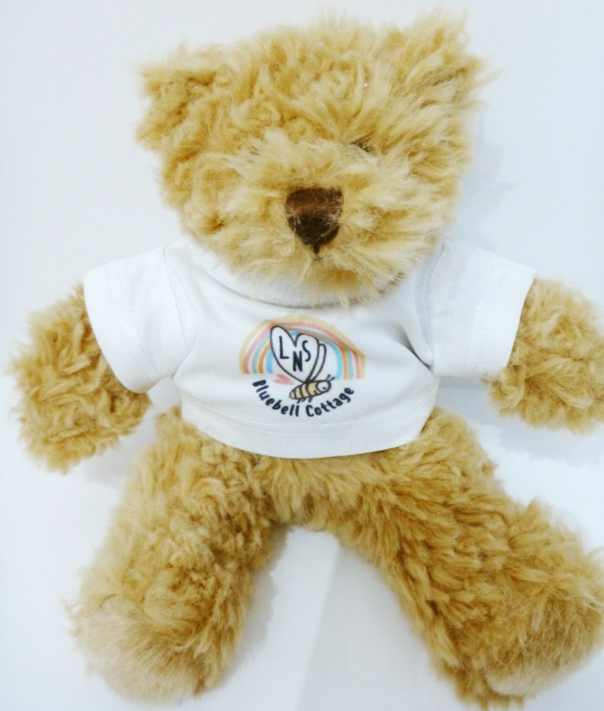 LNS Teddy