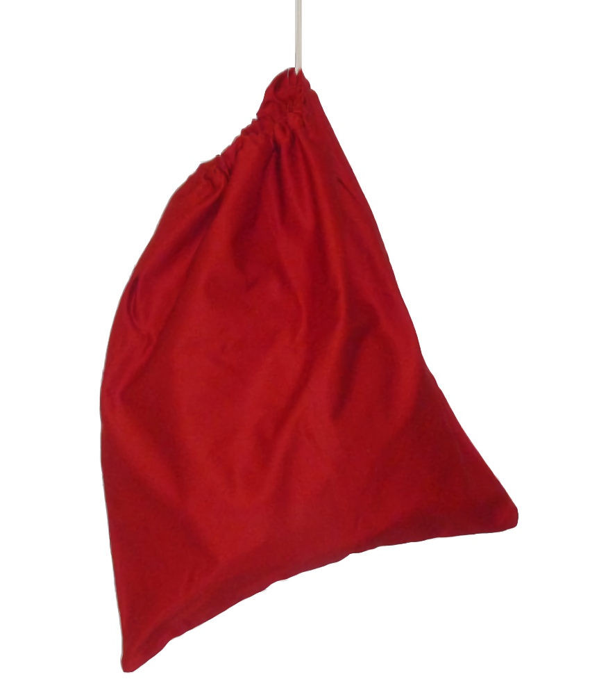 Drawstring Shoe Bag