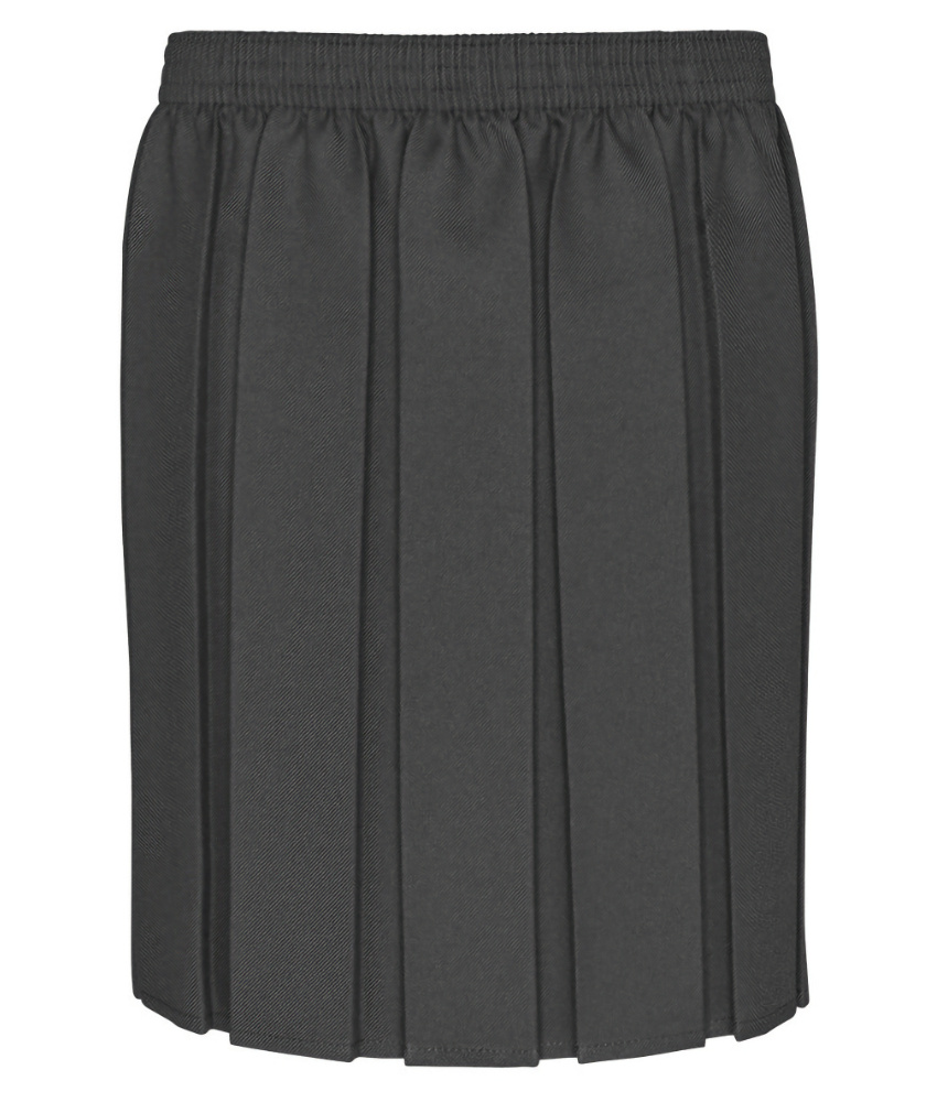 Junior Box Pleat Skirt