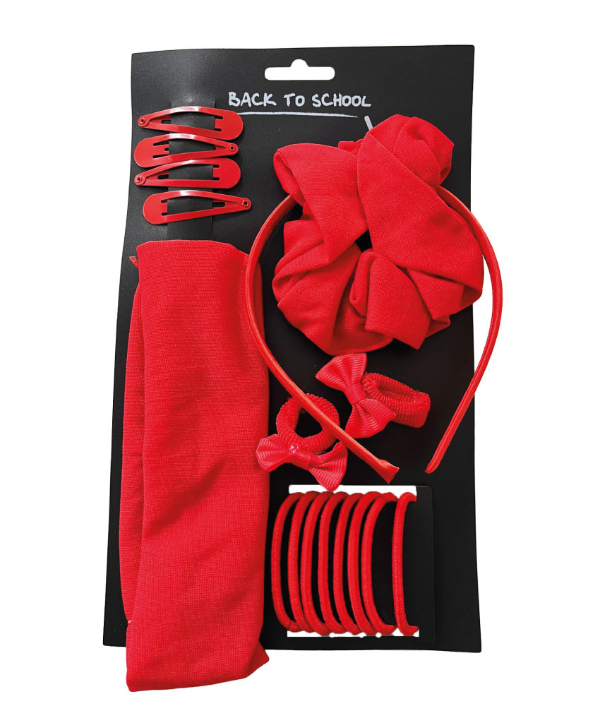 Large hair accessories set