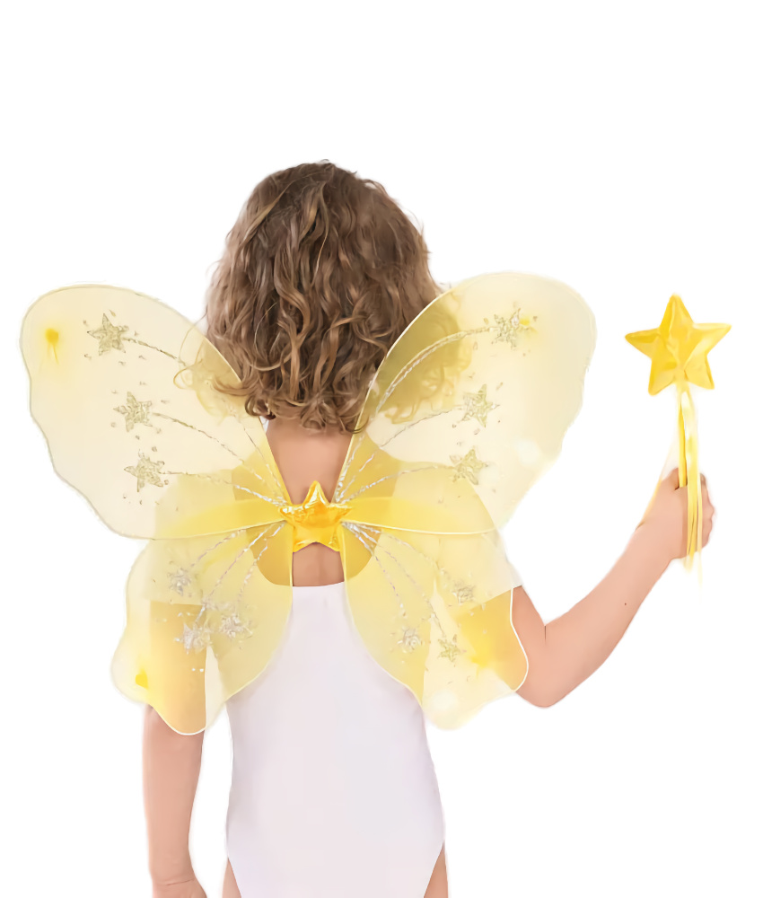 Star Wings and Wand Set
