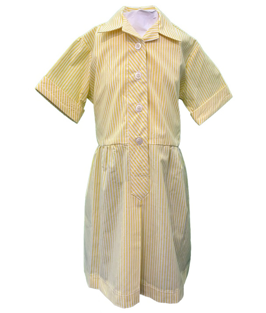 NPS Stripe Summer Dress