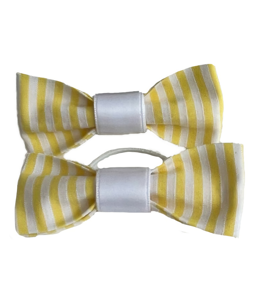NPS Summer Stripe Pigtail Bobble