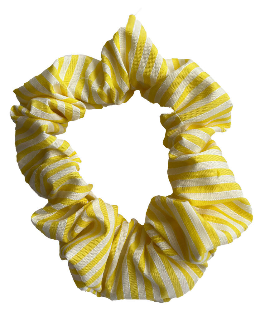NPS Summer Stripe Hair Scrunchy