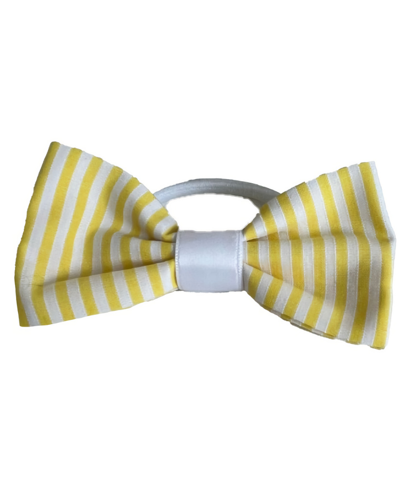 NPS Summer Stripe Ponytail Bobble