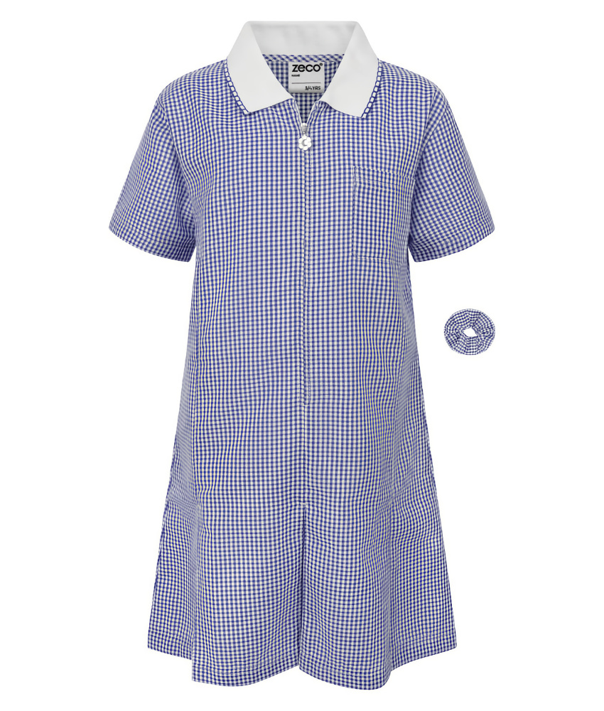 Gingham A Line Summer Dress