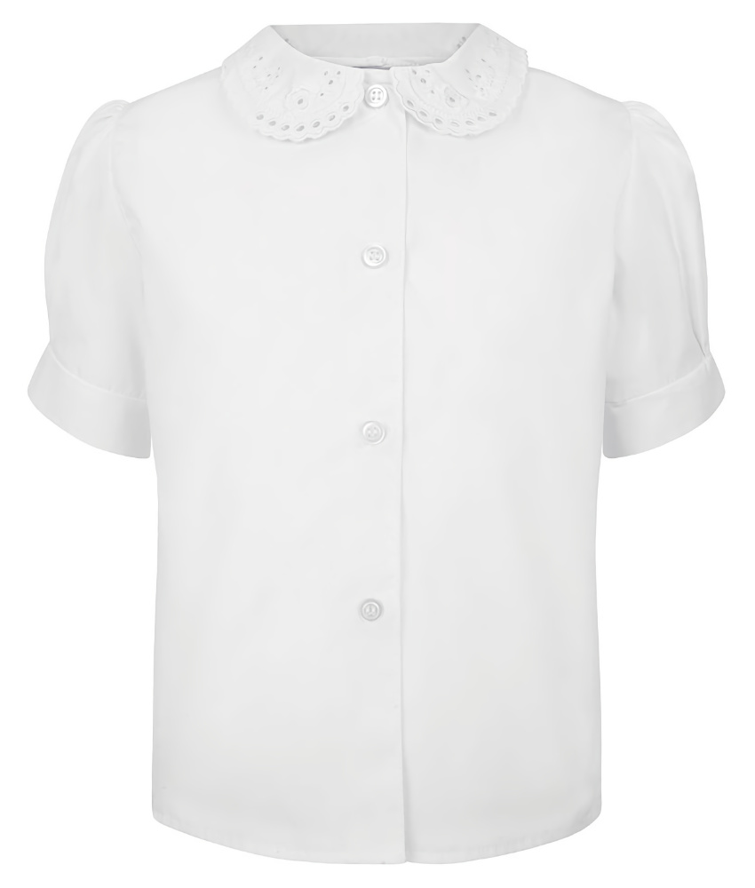 Lace Collar Blouse